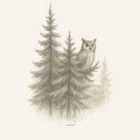 Owl Illustration Digital Download, Calm Forest Wall Art