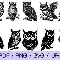 Owl SVG Bundle | Owl Silhouette Clipart | PNG JPG PDf | Detailed & Line Art Owl Illustrations