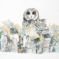 Owl in Winter - Limited Edition Signed Ink & Watercolour Print