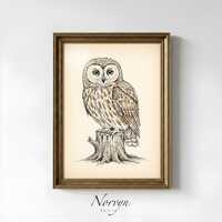Vintage Owl Illustration Printable | Woodland Bird Wall Art