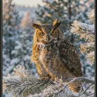 Winter Owl Wall Art, Great Horned Owl Print, Golden Hour Photography, Rustic Farmhouse Decor, Snowy 