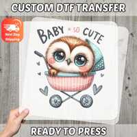 Cute Baby Owl DTF Transfer, Adorable Stroller Design for Newborn Celebration, Heartwarming Iron-On D