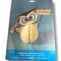 Vintage Amscan Graduation Owl Centerpiece 9" Honeycomb 9110