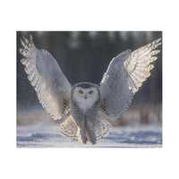 Snowy Owl Jigsaw Puzzle | 520 Piece Winter Wildlife Art