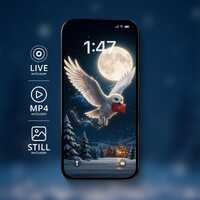 Moonlit Owl Messenger Live Wallpaper | iPhone & Android Animated Wallpaper | Snowy Winter Moon B
