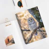 Barred Owl Photograph Spiral Notebook Ruled Lined Journal