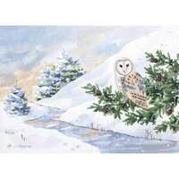 Barn Owl Original Watercolor Painting, Winter Wildlife Bird Art | 5x7 inches