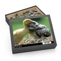 Unlikely Animal Friends Duckling with Baby Owl Puzzle (120, 252, 500-Piece)