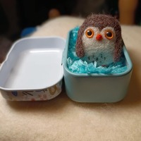 Tiny needle felted owl pocket pet