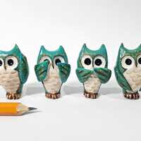 Four Wise Horned Owls