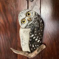 Handcarved Driftwood Burrowing Owl hanging