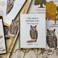 Great Horned Owls | 5 Lesson Guide | Unit Study exploring Habitat, Life Cycle, etc|Christy Beasley C