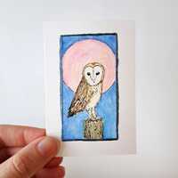 Barn Owl, Pink Moon