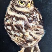 Burrowing Owl - Original Oil Painting
