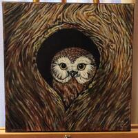 Original owl Acrylic Painting bird Wildlife Art 14x14 gallery wrapped Canvas