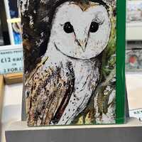 Barn Owl Card