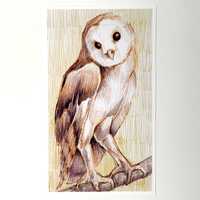 Barn Owl Artwork - Traditional 4x6 Pastel Art Print