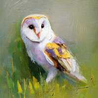 Barn Owl oil painting, Home decor, Wall Art, Original painting, Personalized Gift
