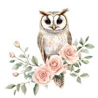 Owl and Roses Clipart: Valentine Watercolor Birds (16 Digital Images)