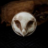 Abstract Owl Ear Gauges - Bone Style Resin Plugs, Mystic Tunnels