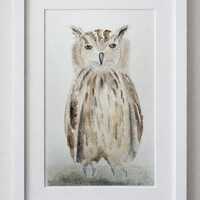 Original Watercolour Owl Signed artwork