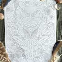 Coloring Page for adults, Owl, Luna Moth, Fiddlehead Ferns