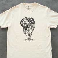 Burrowing Owl T-Shirt, Vintage Owl Illustration Tee, Cute Curious Bird Graphic, Birdwatcher Gift, Na