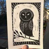 Owl - Linocut Print 5x7