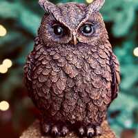 Handmade Concrete Owl Figurine | Rustic Desk Decor