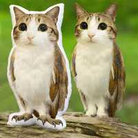 Meowl Pillow, Custom Animal Pillow, Meowl Meme Plush，Meowl keychain，Fun Pet Gift, Meowl Pillow C