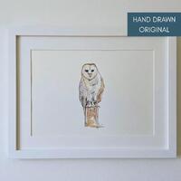 Original watercolour painting Barn owl wildlife artwork British bird of prey nature illustration bir