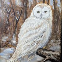 Snow Owl Painting 11x14 Original Oil on Canvas