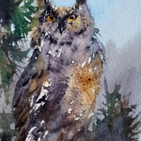 Owl portrait painting original ACEO watercolor of wild night forest bird collectable gift
