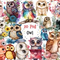 Watercolor Owl Clipart,20x High Quality PNG,Instant Download,Commercial Use