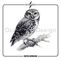 Owl SVG, Animal Vector Design, Cutting Board PNG, Laser Engraving Files (Digital Download)