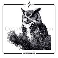 Owl SVG, Animal Vector Design, Cutting Board PNG, Laser Engraving Files (Digital Download)
