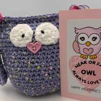 Crochet Owl Valentine Gift with Card &ndash; &ldquo;Near or Far, Owl Always Love You&rdquo; &ndash; 