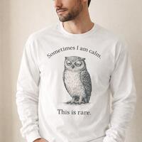 Sometimes I Am Calm Shirt Feralcore Owl T Shirt Minimalist Unisex Long Sleeve Tee Deadpan Funny Grap