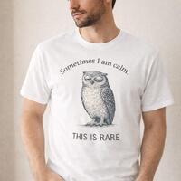 Sometimes I Am Calm Shirt I Feralcore Owl T Shirt I Minimalist Unisex Graphic Tee I Funny Deadpan Ae