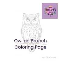 Owl Coloring Page &ndash; Owl on Branch Printable &ndash; Woodland Animal Line Art for Adults & 