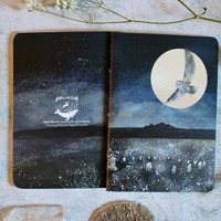 Barn owl, blank journal