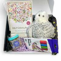 Owl Coloring and Candy Gift Box