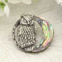Owl Brooch: Abalone Moon Night Owl Pin
