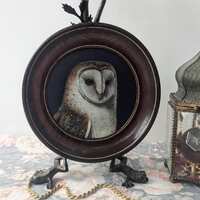 Barn Owl Painting by Irene Owens in beautiful antique frame