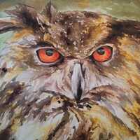 Twilight watch- original owl watercolour print, numbered and signed.