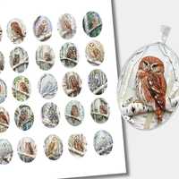 Oval Bird Collage | Owls in the Forest Cabochons Printable Images | (18x25mm) CABS-1528a