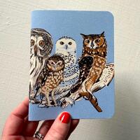 Illustrated owls blank notebook, journal, sketchbook, North American bird, illustrated, recycled pap