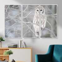 White Owl Wall Art Canvas Print - Ready to Hang Modern Animal Wall Art