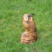 Chainsaw Carved Owl