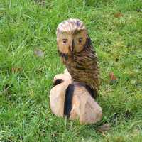Chainsaw Carved Owl